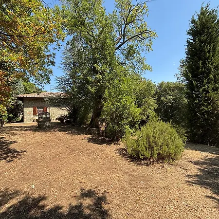 Le Dodici Querce * Cortona