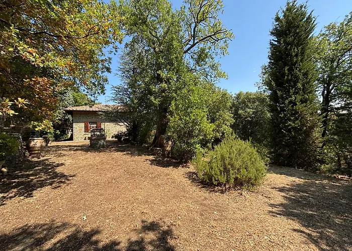 Le Dodici Querce * Cortona